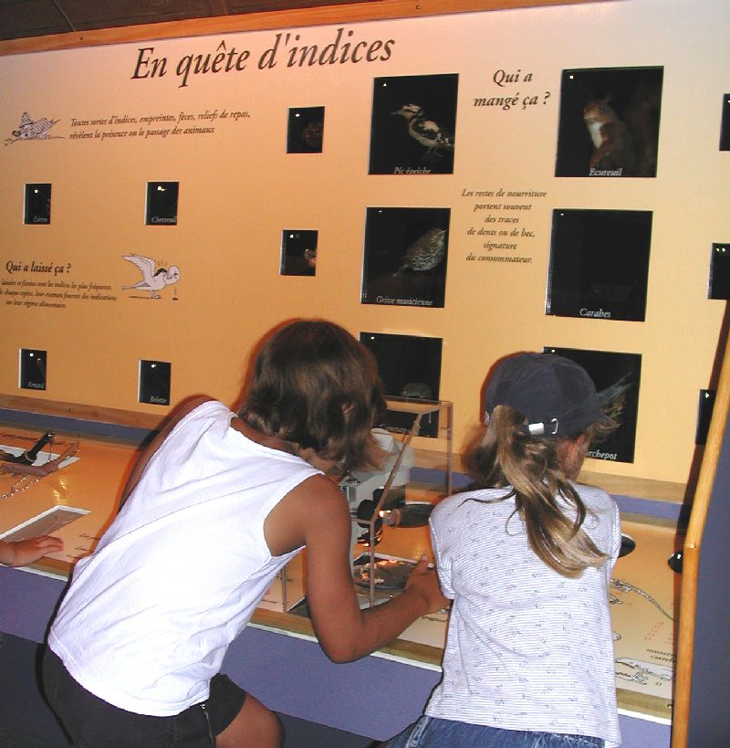 Museum d'Histoire Naturelle