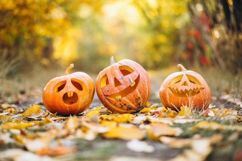 Halloween à la Filature de Laine de Belvès
