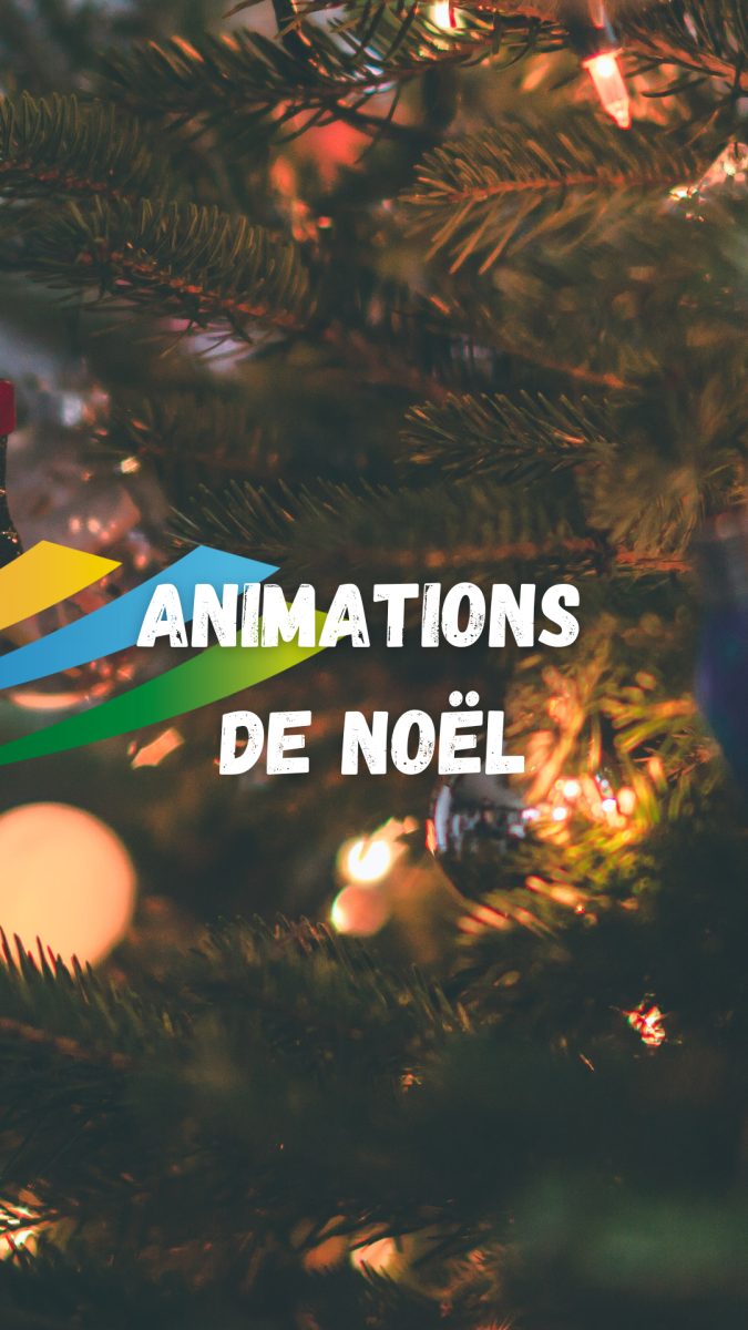 VILLAGE DE NOËL