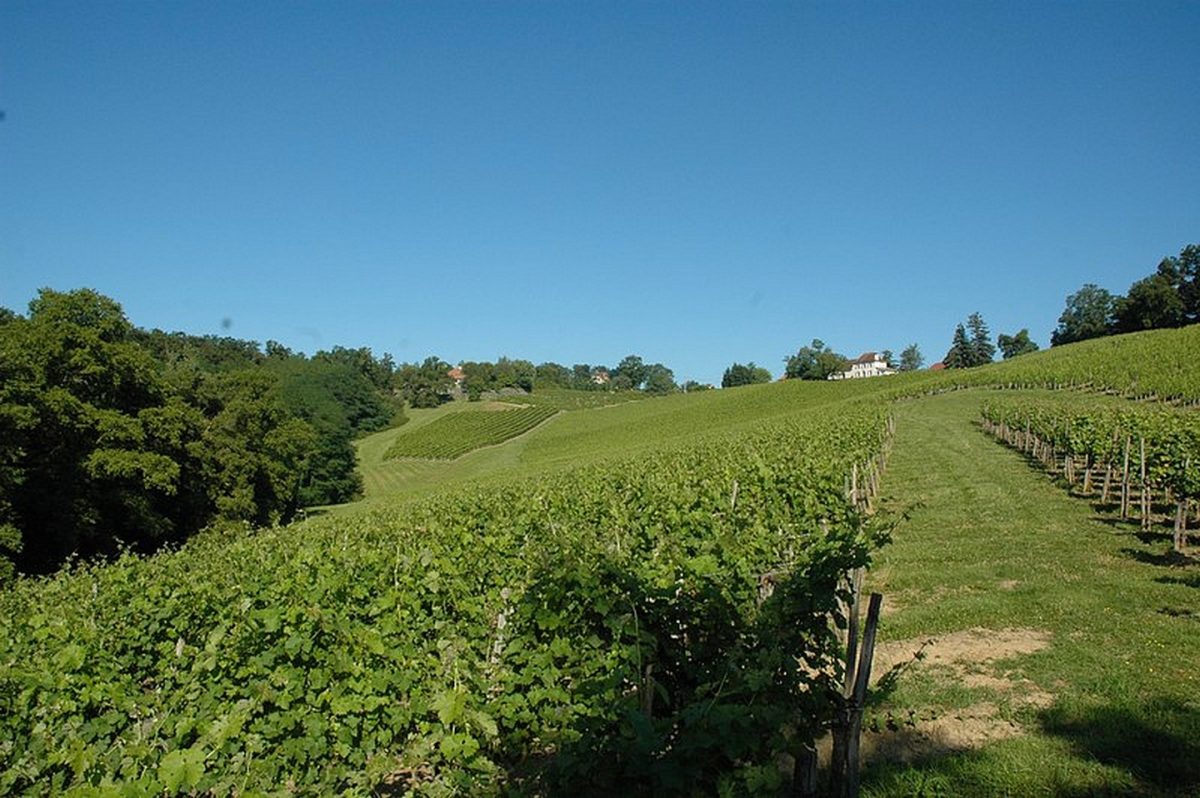 Domaine Lapeyre-Guilhemas