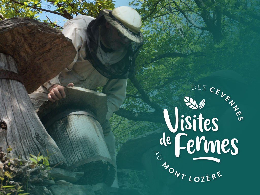 VISITES DE FERMES 2026 : L'ARBRE AUX ABEILLES
