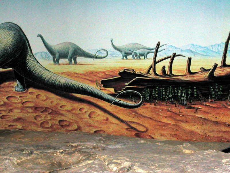 Ichnospace, empreintes et traces de dinosaures