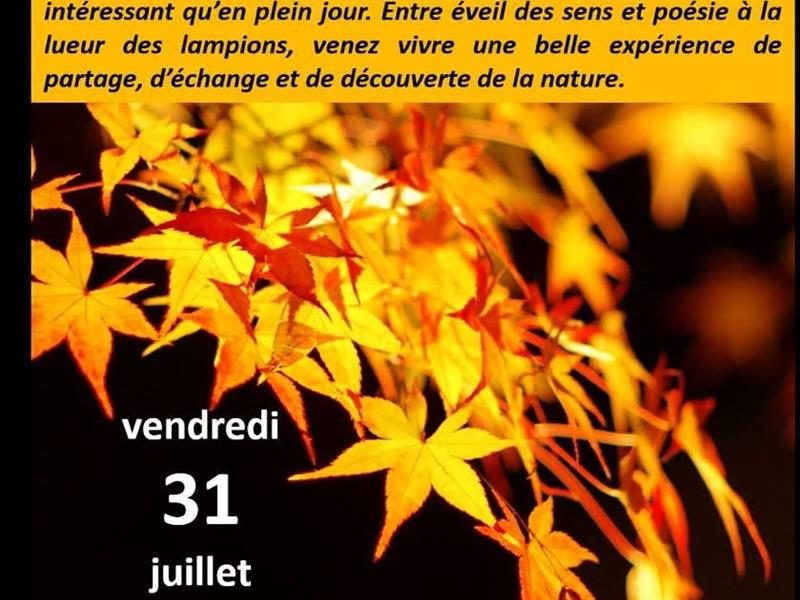 Un soir aux jardins oubliés
