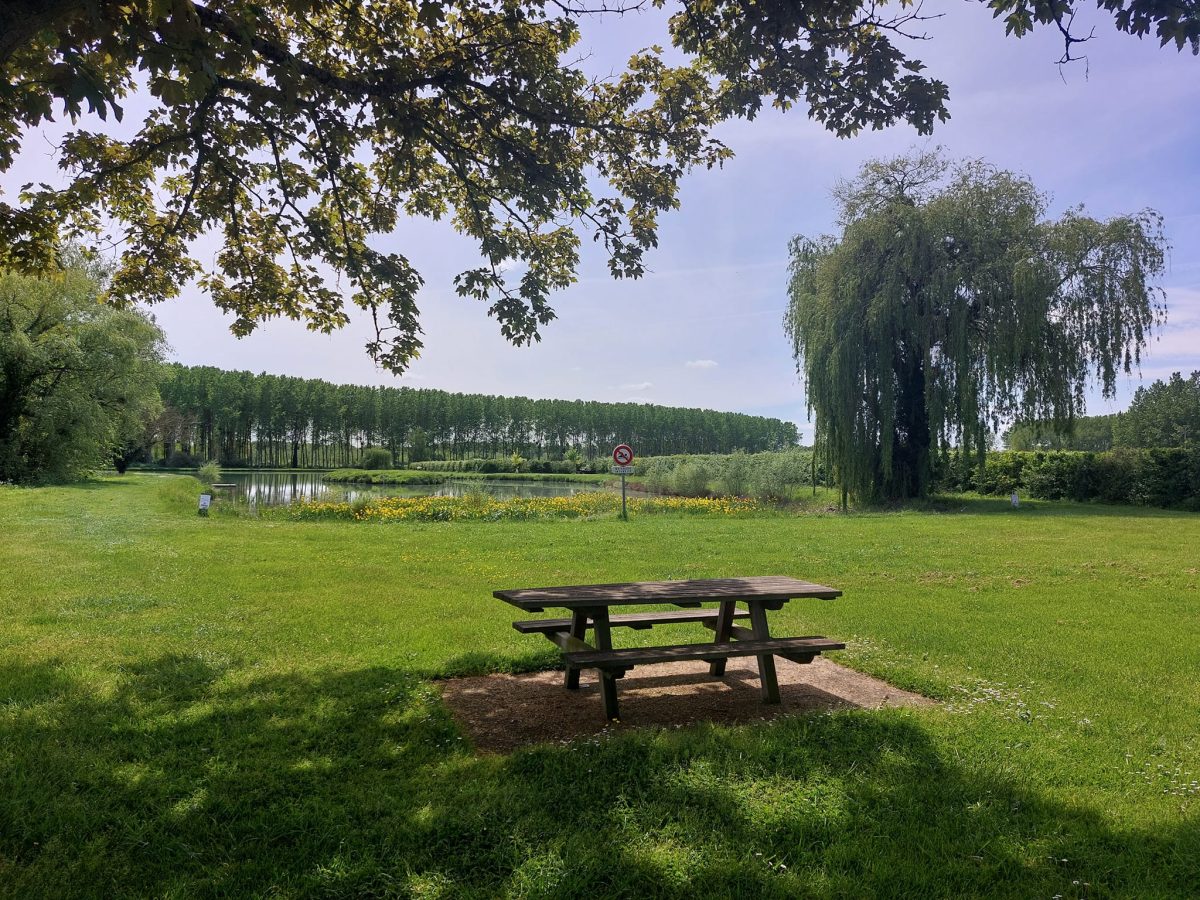 Etang de Doussay