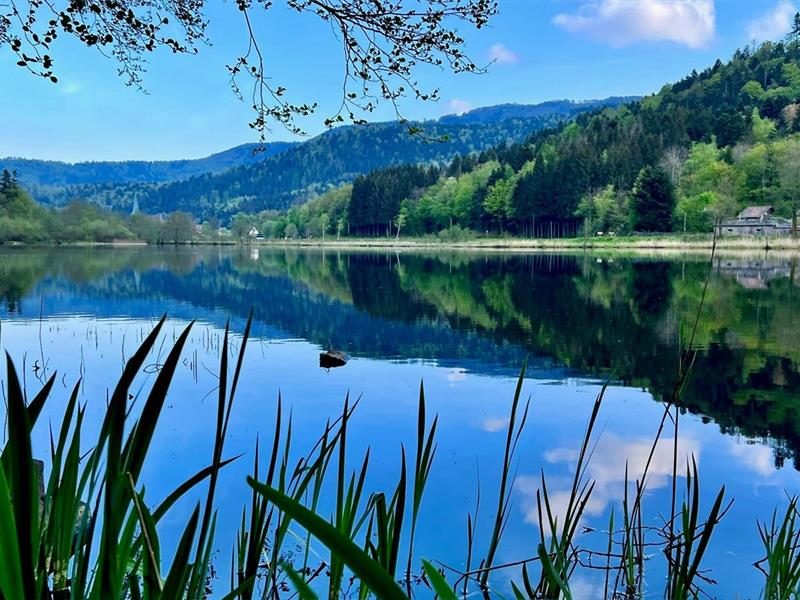 Lac de Sewen