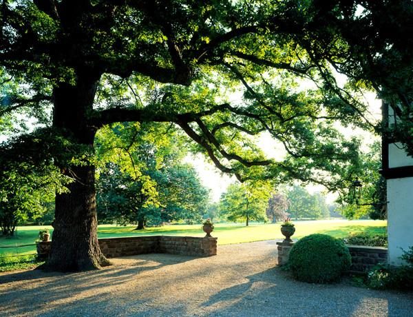 Le parc de Schoppenwihr