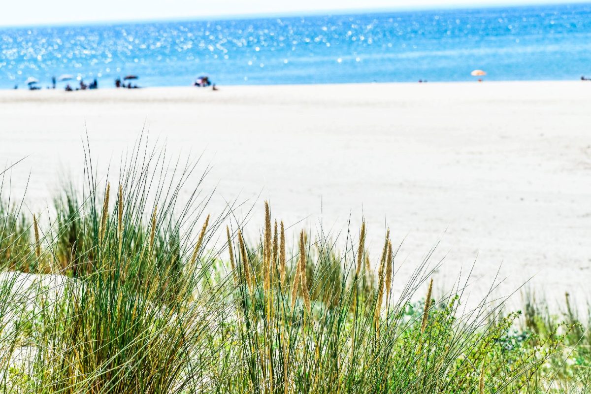 Plage des Olives surveillée de Soulac (zone de bain Nord)