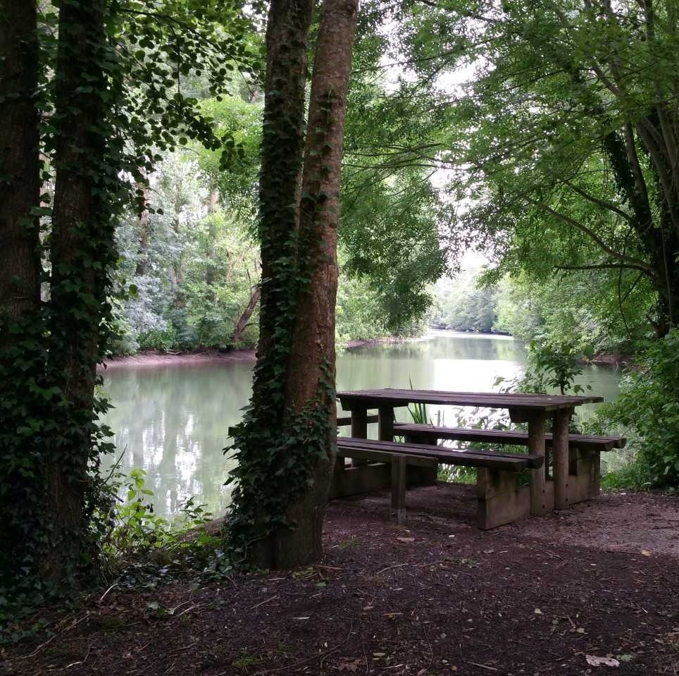 Aire de pique-nique de Niort à Noron