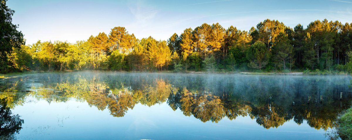 Lagunes de Nabias