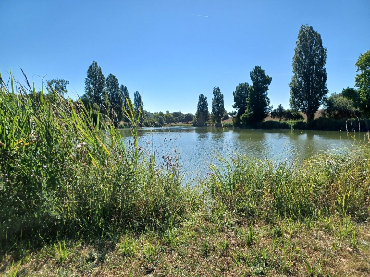 Etang des Arguillonnières