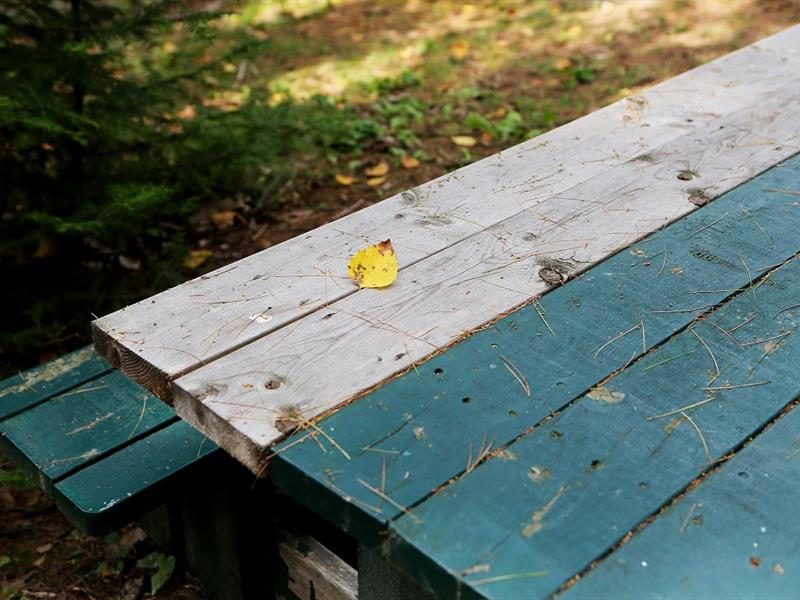 Aire de pique-nique Chemin de la frontière