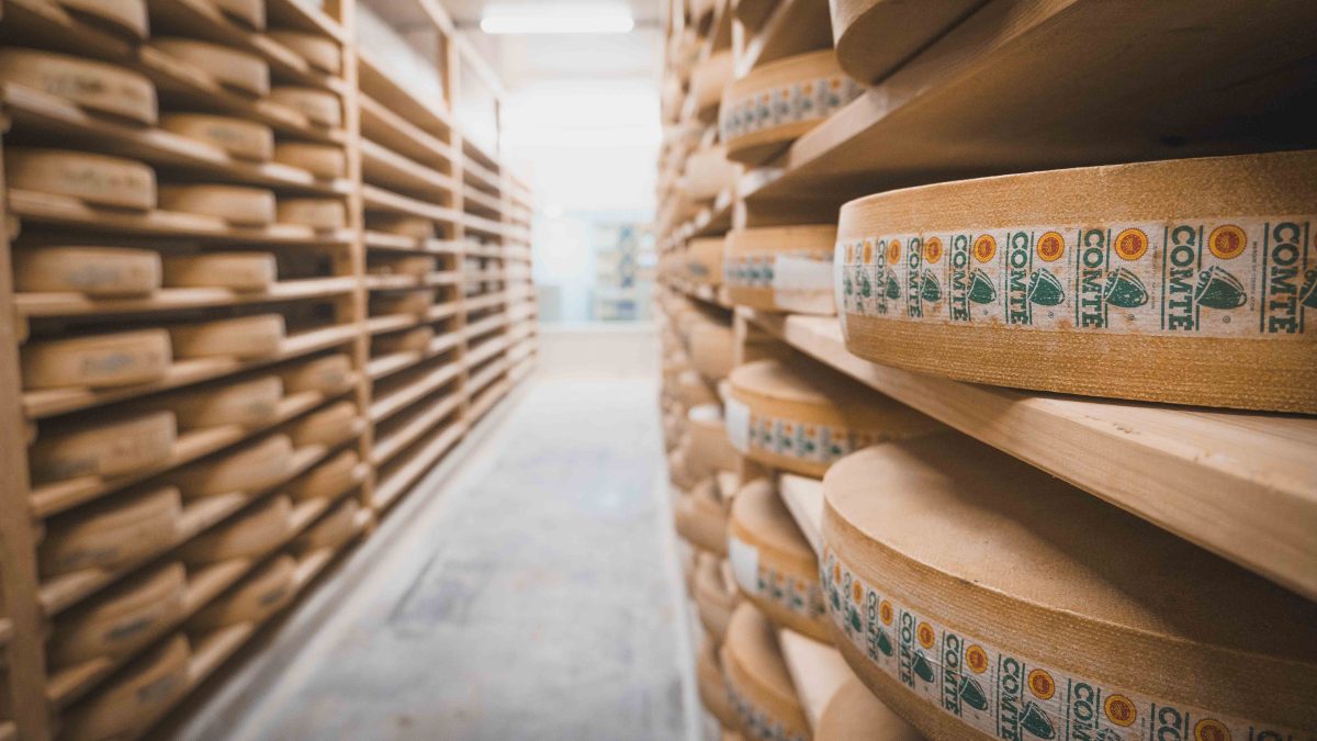 Visite d'une fruitière à comté