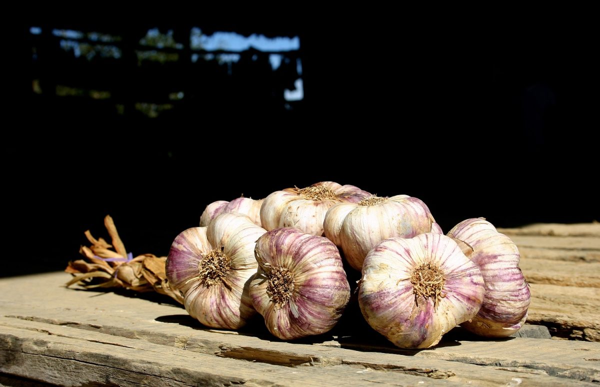 FERME DU JOUAN MARROU