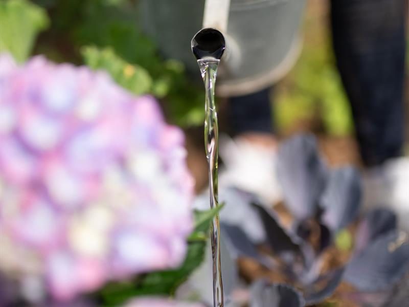 La balade des jardiniers