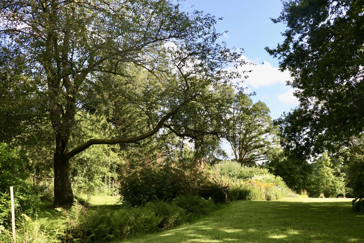 Jardin de Villevaleix