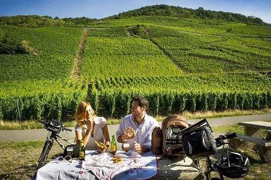 Aire de pique-nique : vignoble du Rangen