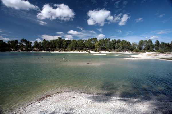 Aire de pique-nique du Lac Bleu