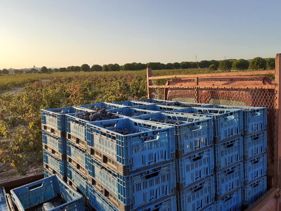 LE CLOS D'ELPIS