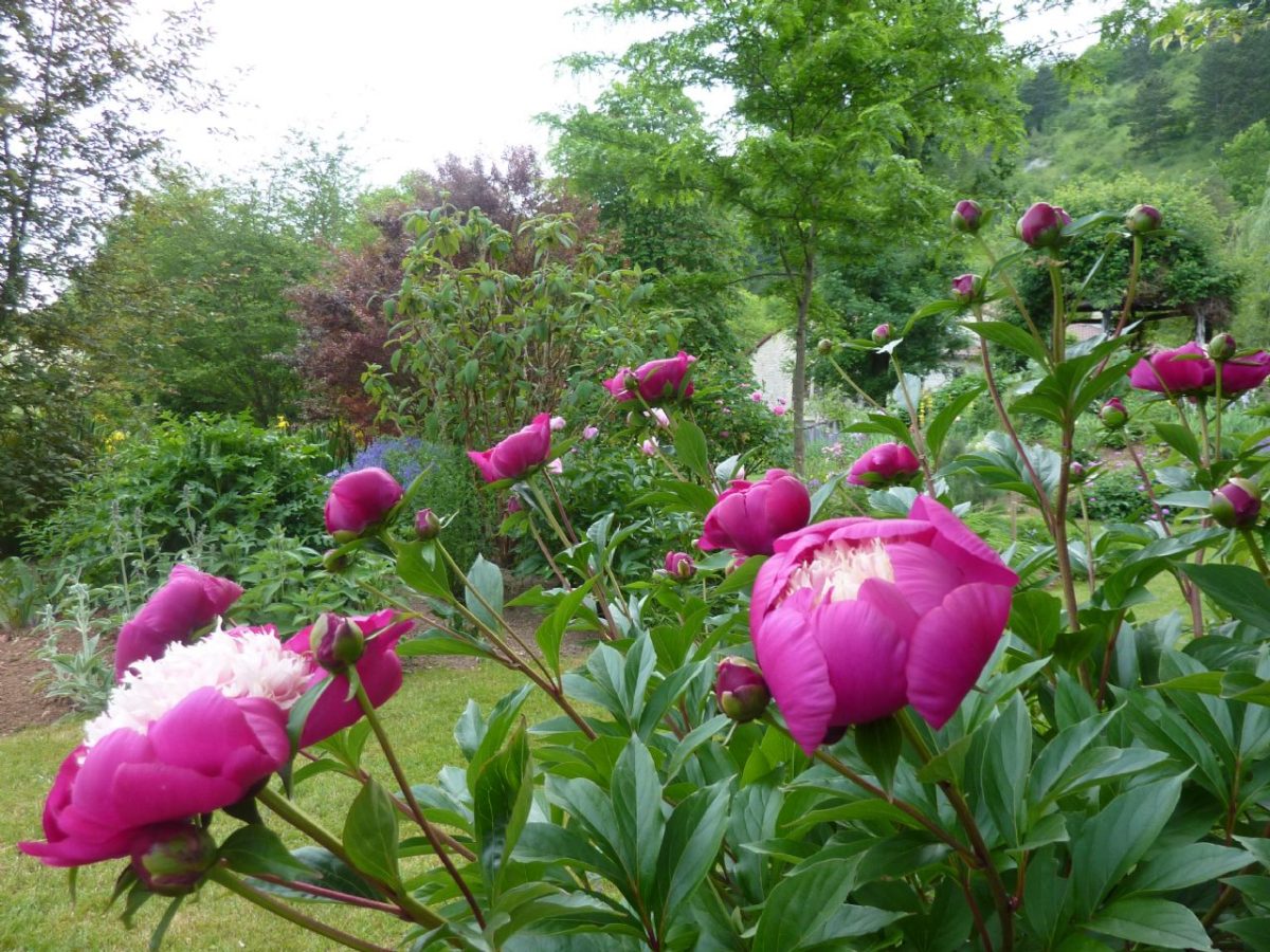 Les Jardins de mon Moulin
