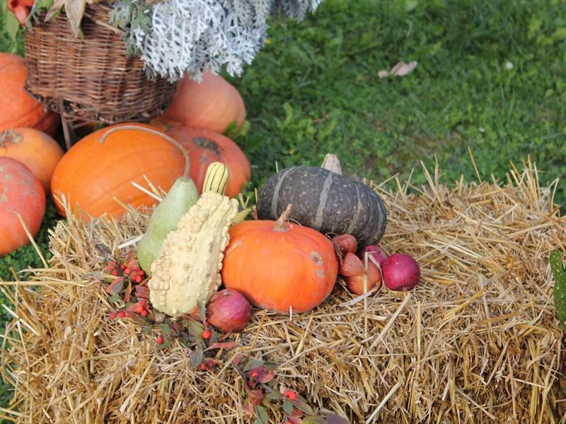 Contes, sorcellerie et soupe de potiron