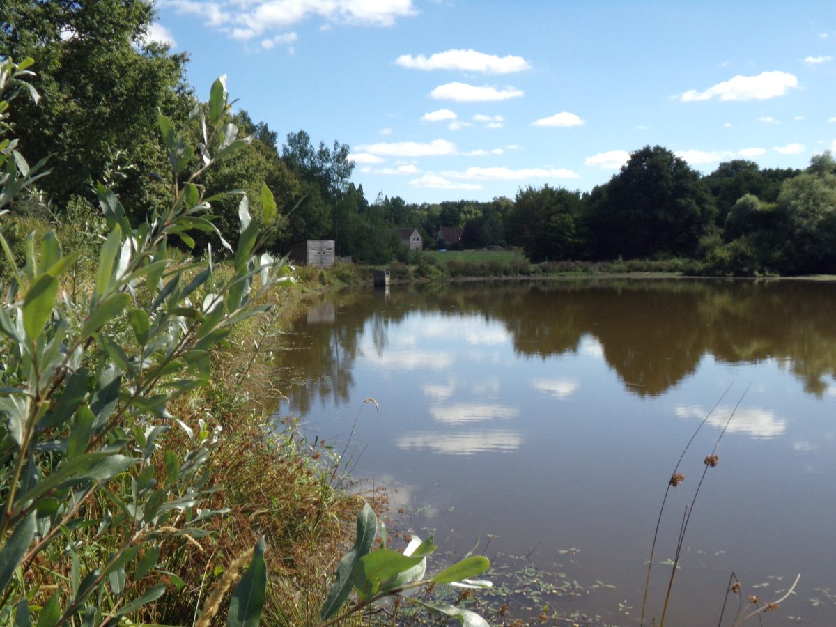 Etang des Brosses