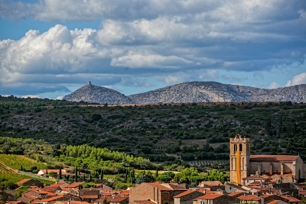 VIGNOBLES DOM BRIAL