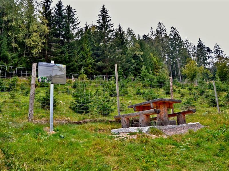 Aire de pique-nique - Sentier des muletiers