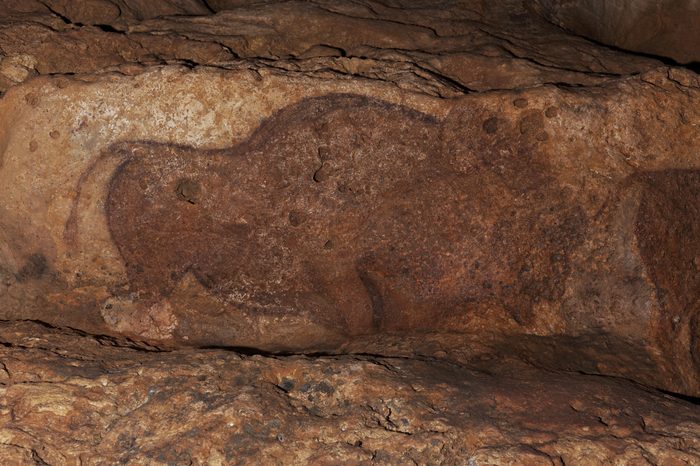 Grotte de Font-de-Gaume