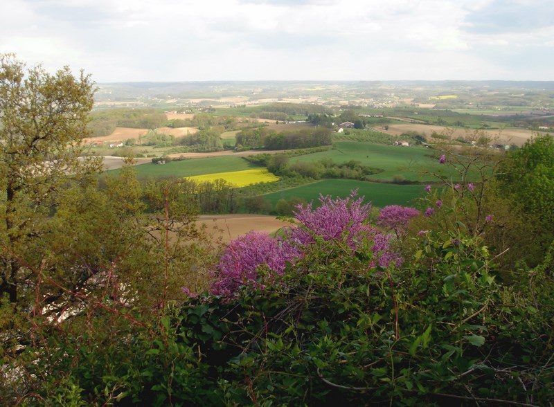 Point de vue de Monségur