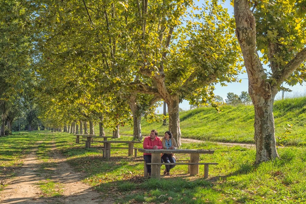 Aire de pique nique au bord de l'Adour