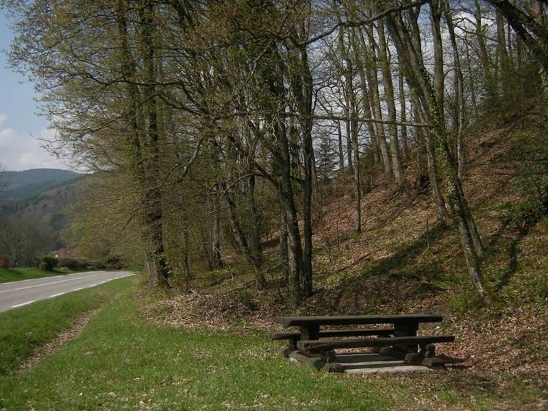 Aire de pique-nique Wegscheid/Oberbruck