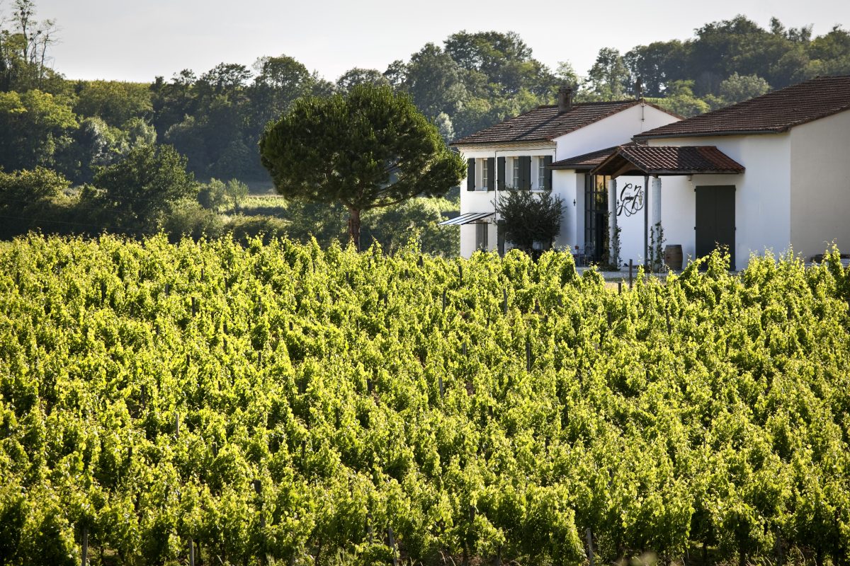 Château George 7