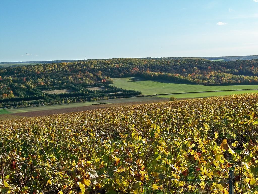 Colline de Montgueux