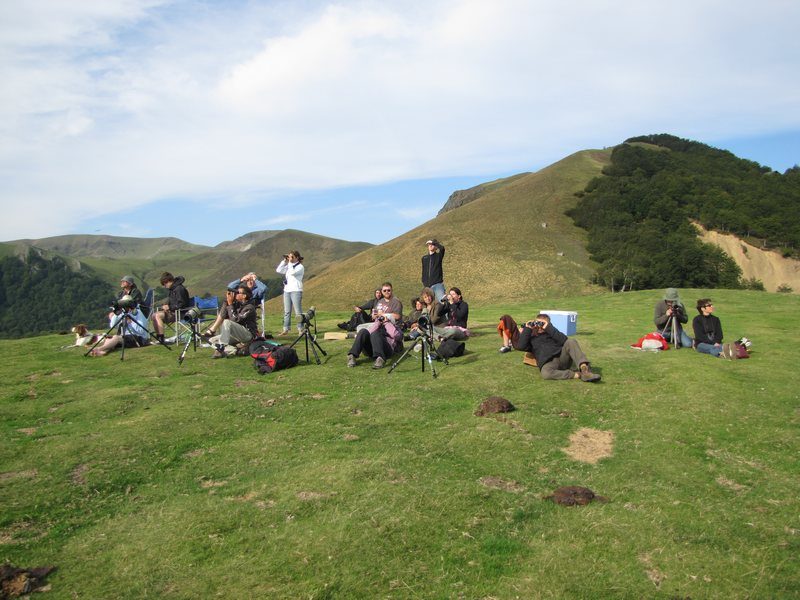 Col d'Organbidexka - observation des oiseaux