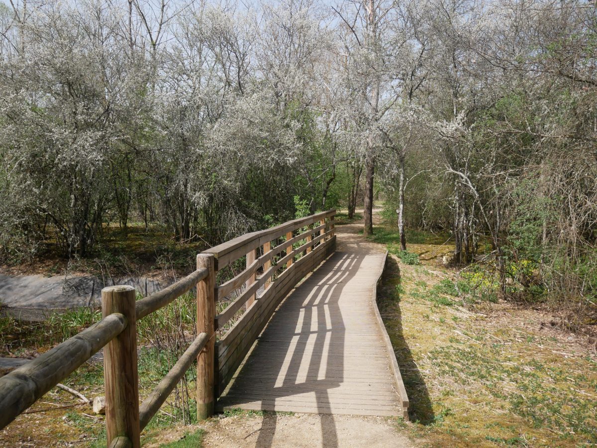 Parc Rosa Bonheur