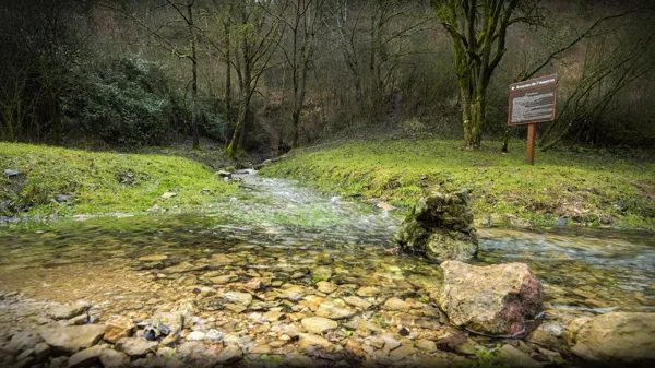 Sources de l'Aveyron