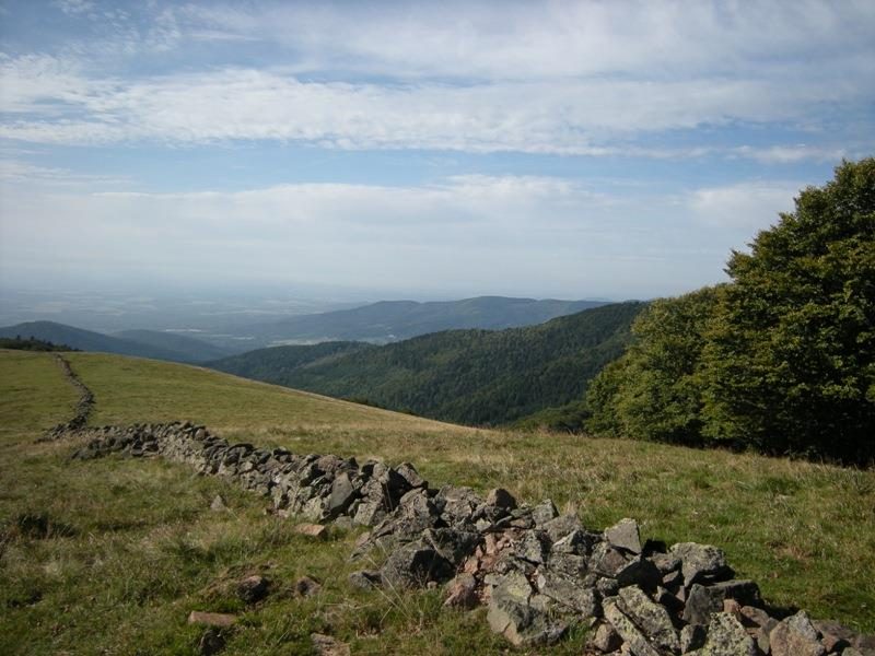 Massif du Rossberg