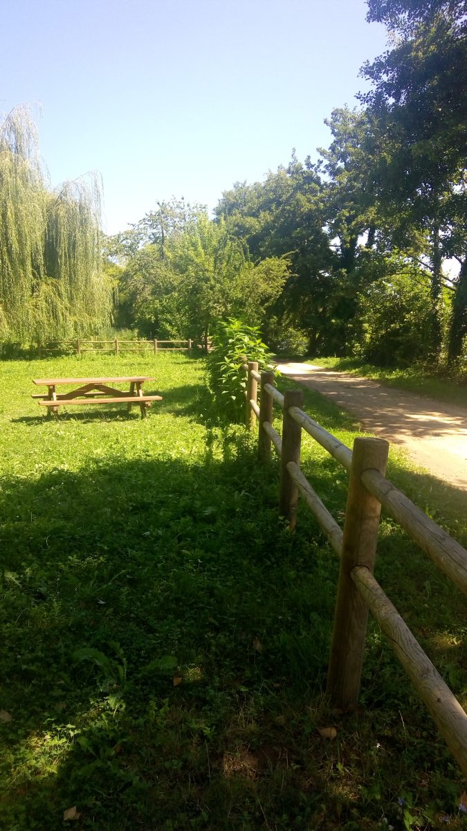 Aire de pique-nique au bord du Lot