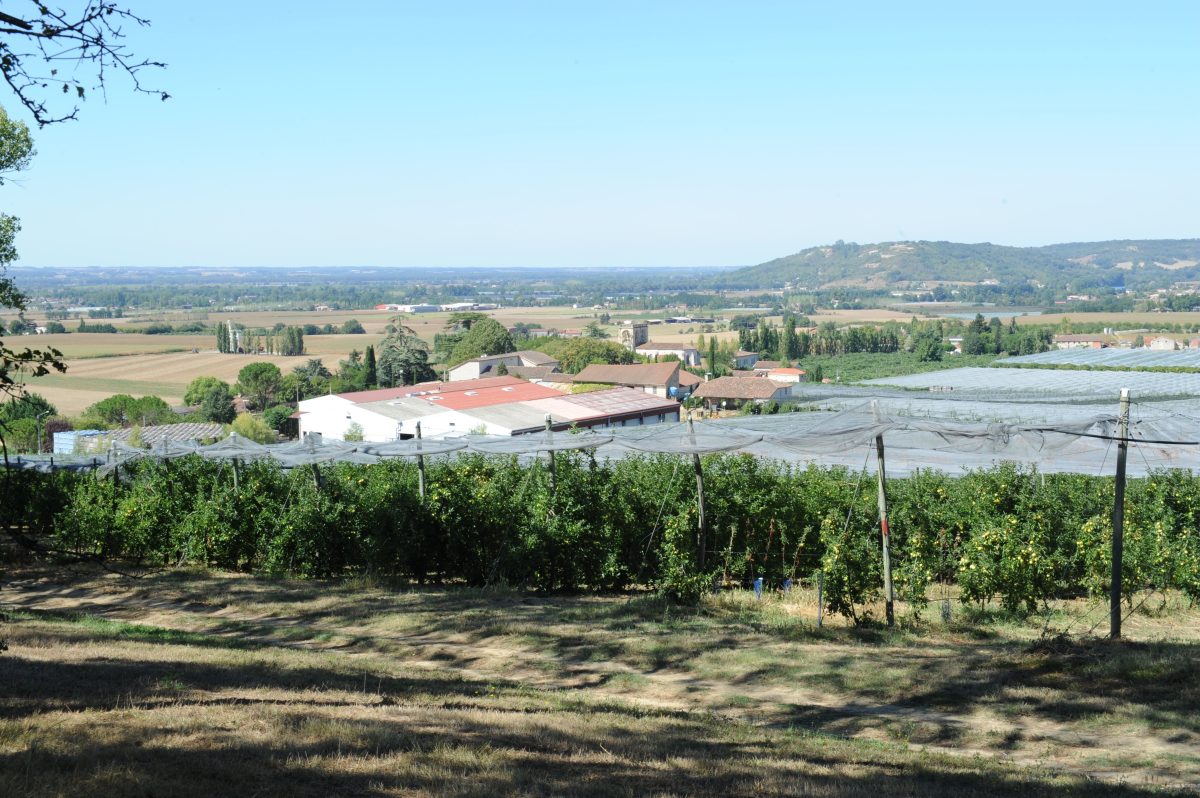 Domaine du Barry