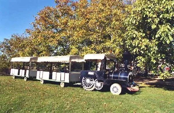 Visite en Petit train - La Vallée des Daims
