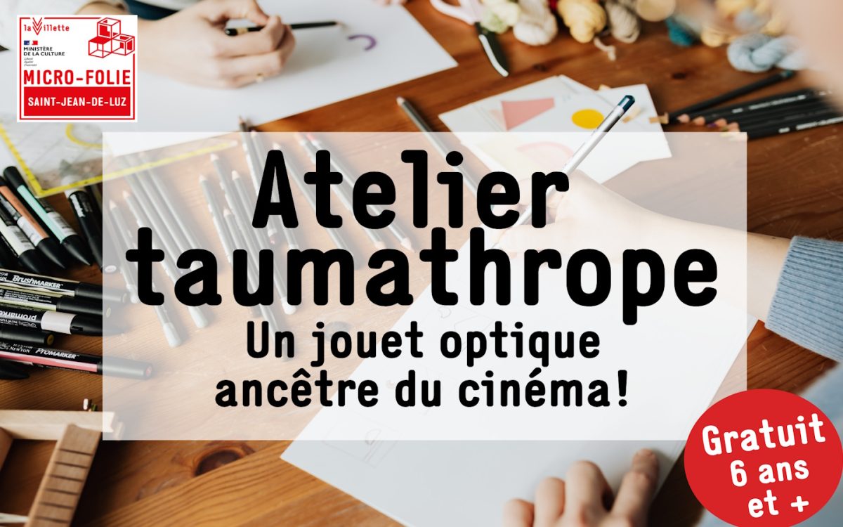 Micro-Folie : Atelier: Taumathrope-jouet optique