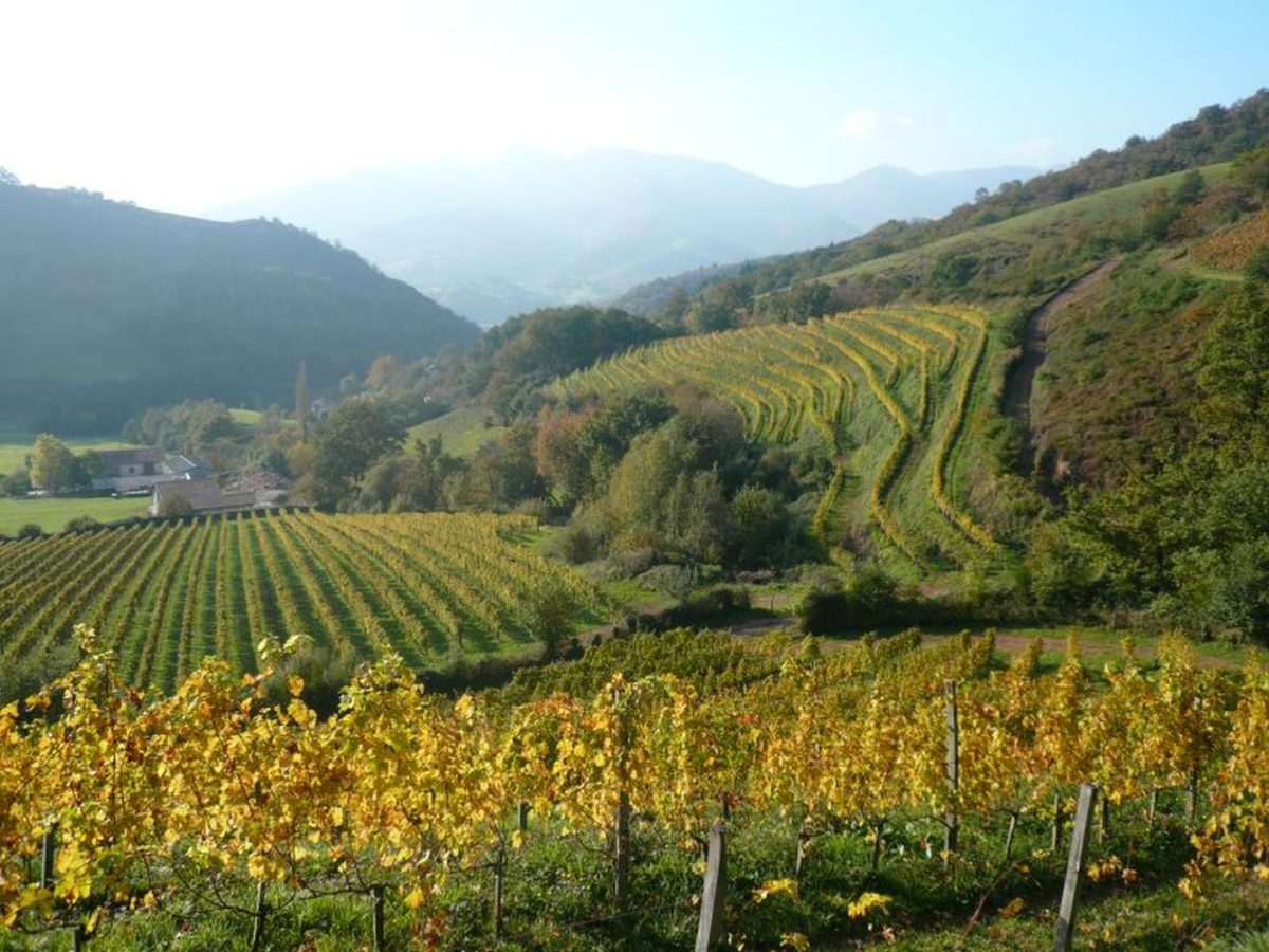 Domaine Arretxea