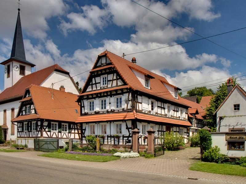 Maison Jülg, vins et crémants d'Alsace
