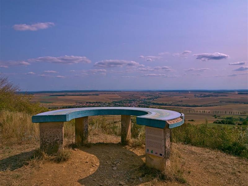Côte de Delme