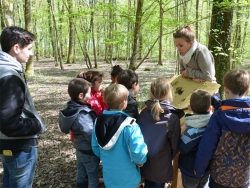 L'éducation à la nature au Domaine de Chenonville