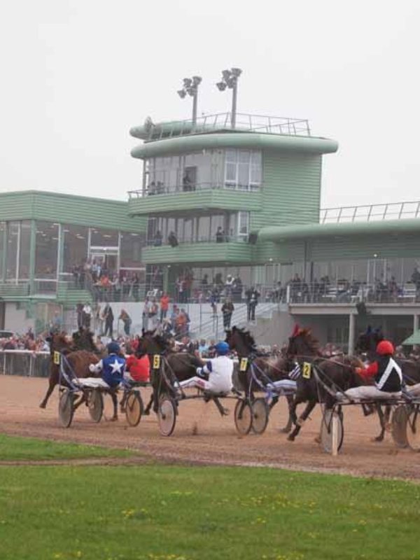 Courses hippiques