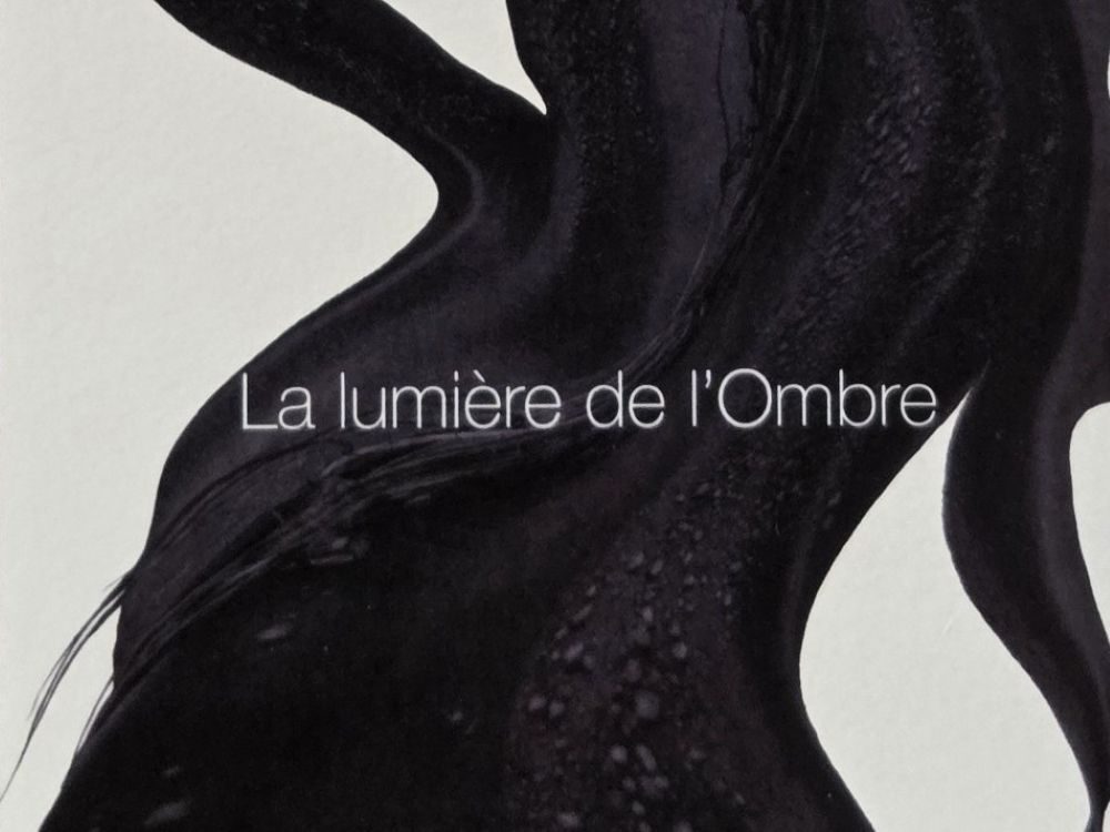 LA LUMIÈRE DE L'OMBRE (MATIÈRES NOIRES)