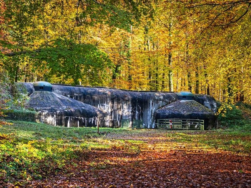 Visite libre du Fort de Schoenenbourg