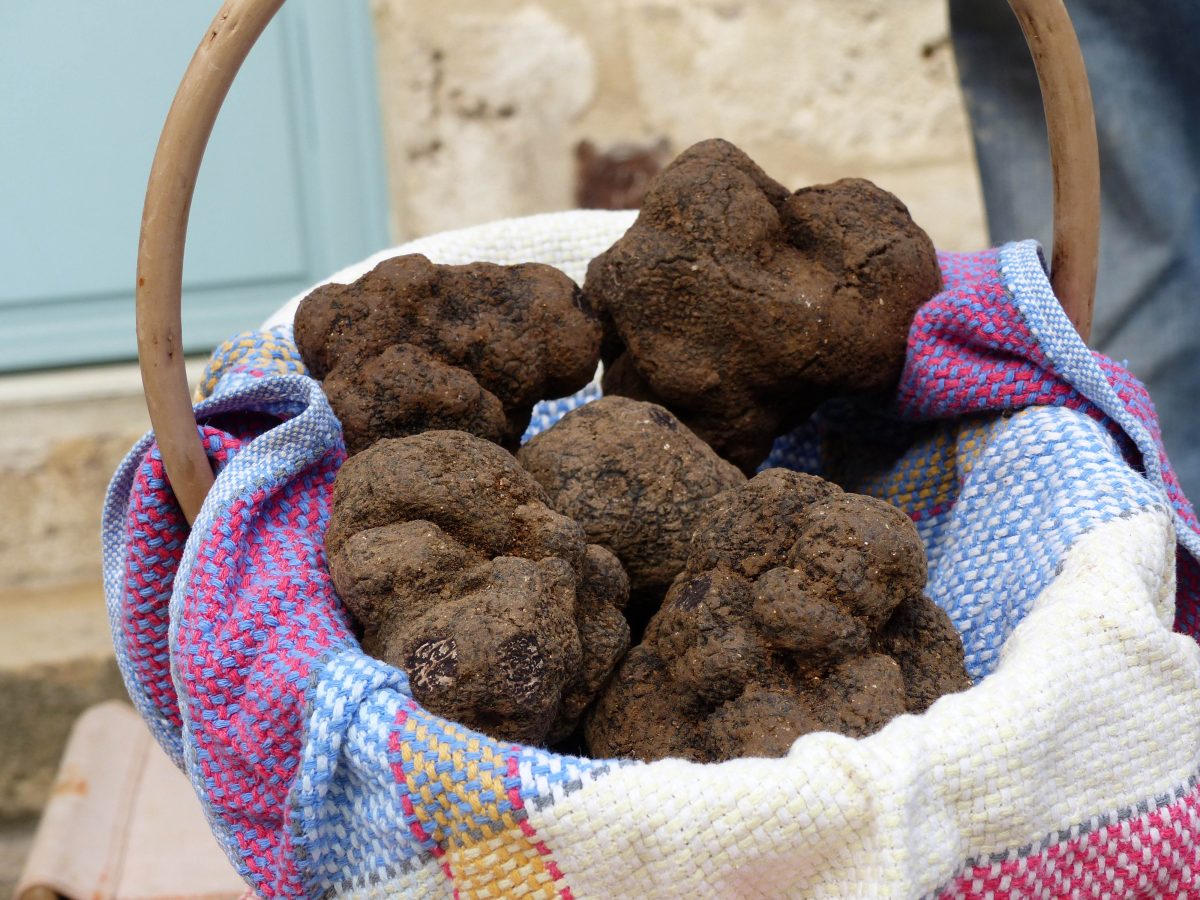 Omelette Géante aux Truffes à Lalbenque