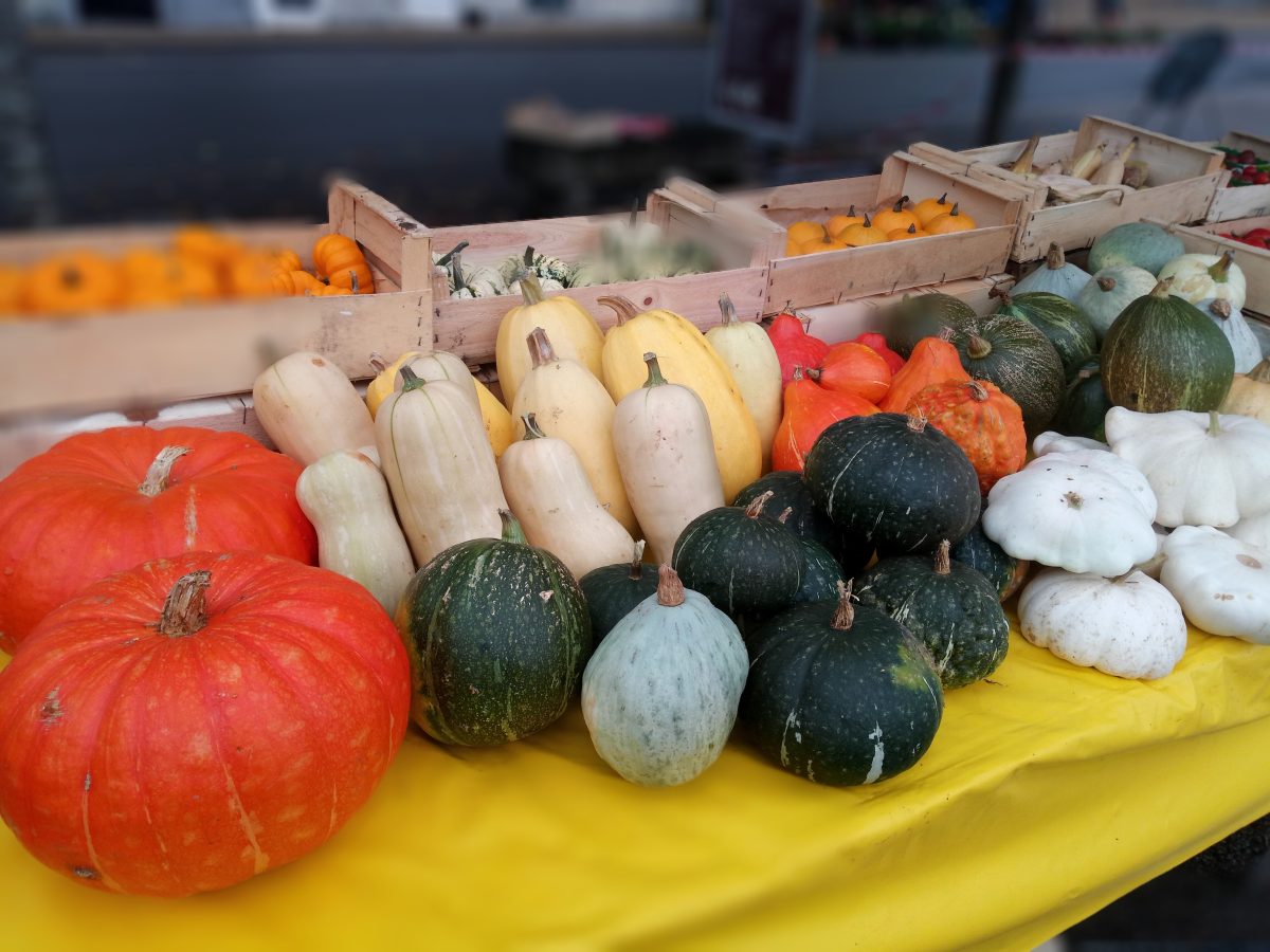 Fête de l'automne